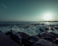DSC0710